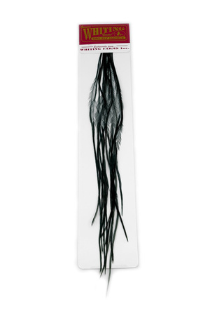 Whiting 100 Saddle Hackle Pack #14 - pióra siodłowe koguta