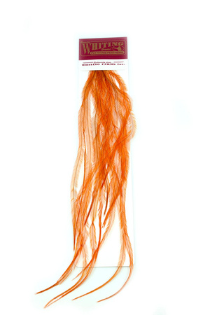 Whiting 100 Saddle Hackle Pack #14 - pióra siodłowe koguta
