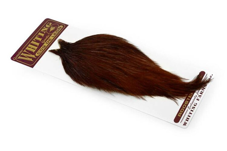 Whiting Coq de Leon Rooster Cape - kapka koguta Coq de Leon
