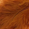 Wapsi Wolly Bugger Marabou - Marabut