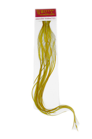Whiting 100 Saddle Hackle Pack #14 