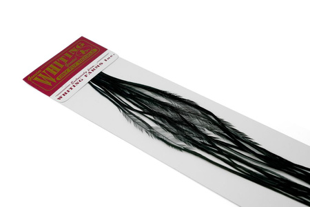 Whiting 100 Saddle Hackle Pack #14 - pióra siodłowe koguta