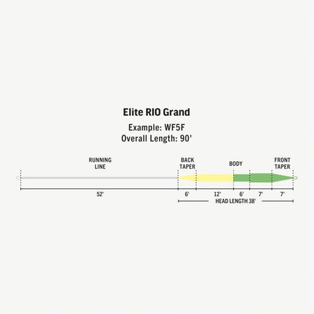 RIO Elite Grand WF-F