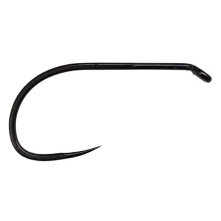 Wizard D2 649 BL Strong