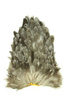 Whiting 4 B's Hen Saddle - siodło kury