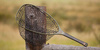Fishpond Nomad Emerger Net- River Armor