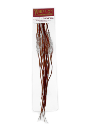 Whiting 100 Saddle Hackle Pack #20 