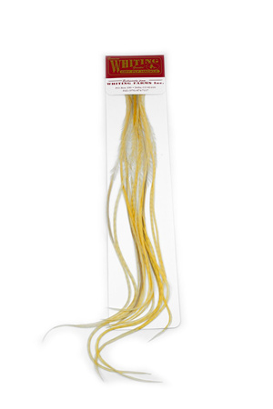 Whiting 100 Saddle Hackle Pack #14 - pióra siodłowe koguta