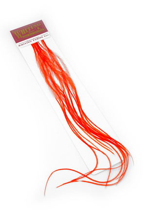 Whiting 100 Saddle Hackle Pack #16 - pióra siodłowe koguta