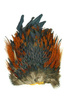Whiting 4 B's Rooster Saddle