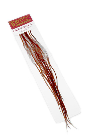 Whiting 100 Saddle Hackle Pack #14 