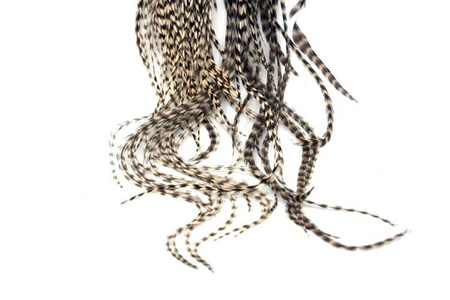 Whiting Bronze 1/2 Saddle - siodło koguta 1/2