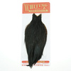 Whiting Hen Cape