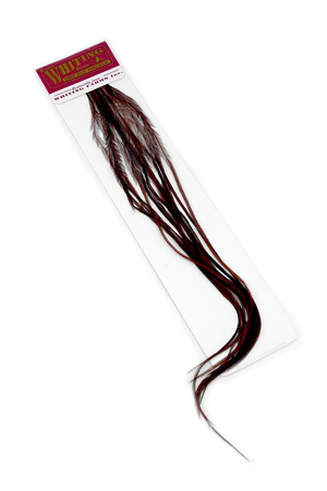 Whiting 100 Saddle Hackle Pack #16 - pióra siodłowe koguta