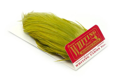 Whiting Bugger Pack 