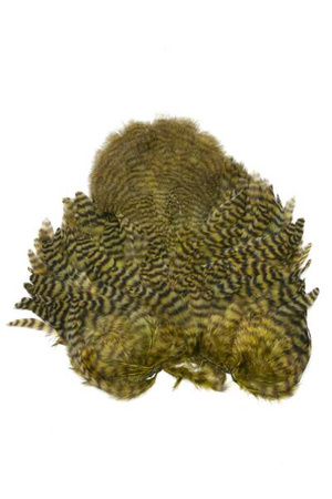 Whiting Soft Hackle with Chickabou 