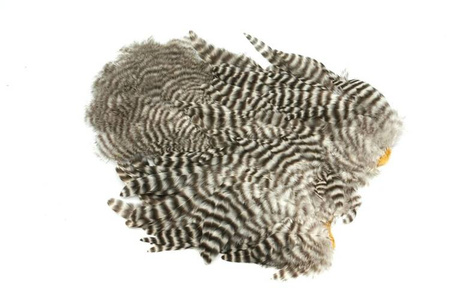 Whiting  Soft Hackle with Chickabou 