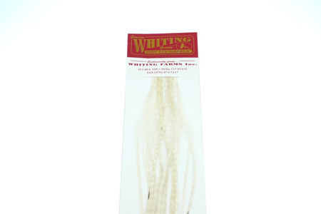 Whiting 100 Saddle Hackle Pack #14 - pióra siodłowe koguta