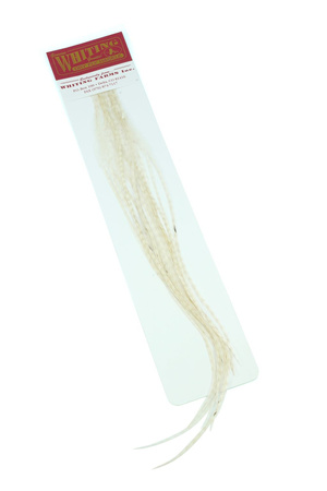 Whiting 100 Saddle Hackle Pack #14 - pióra siodłowe koguta