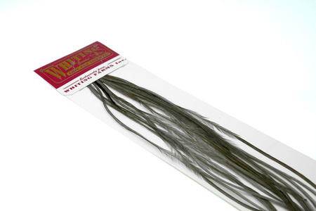 Whiting 100 Saddle Hackle Pack #14 - pióra siodłowe koguta