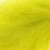 Yellow Olive