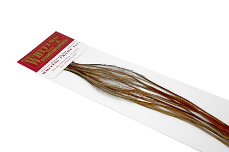 Whiting 100 Saddle Hackle Pack #14 - pióra siodłowe koguta