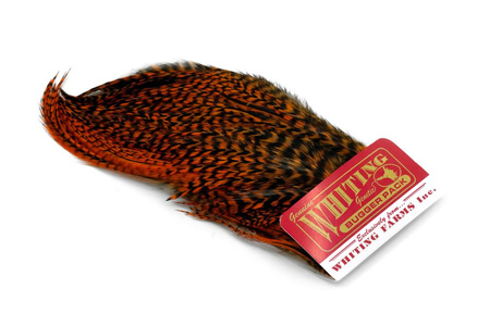 Whiting Bugger Pack 