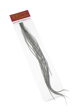 Whiting 100 Saddle Hackle Pack #14 