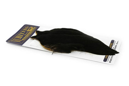 Whiting American Hen - Cape Black