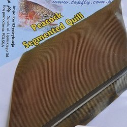 Peacock Segmented Quill - Olive