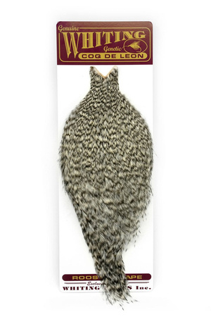 Whiting Coq de Leon Rooster Cape - kapka koguta Coq de Leon