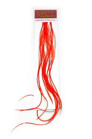 Whiting 100 Saddle Hackle Pack #16 - pióra siodłowe koguta