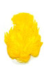 White dyed Yellow 