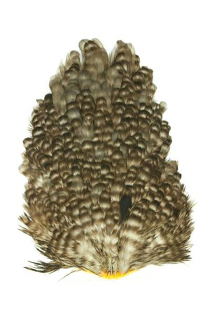 Whiting 4 B's Hen Saddle - siodło kury