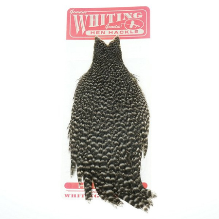 Whiting Hen Cape