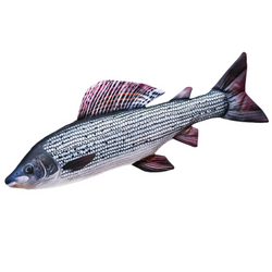 Lipień - poduszka maskotka