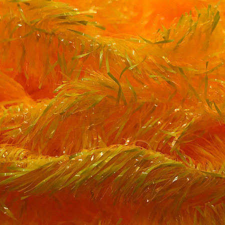 Fasna - Neon Fritz 15mm - Fluo Sunburst