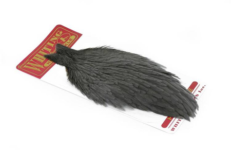 Whiting Hen Cape  - kapka kury 