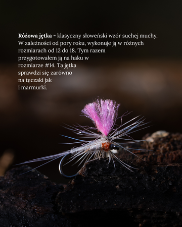 Zestaw much - Słowenia 