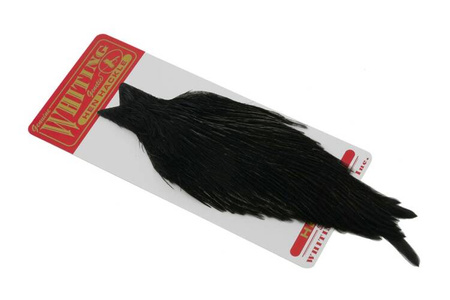 Whiting Hen Cape