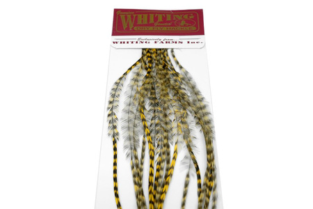 Whiting 100 Saddle Hackle Pack #14 