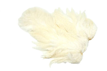 Whiting Soft Hackle with Chickabou 