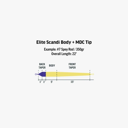 RIO Elite Scandi Body