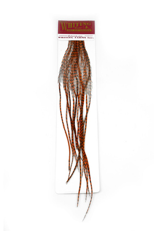 Whiting 100 Saddle Hackle Pack #14 - pióra siodłowe koguta