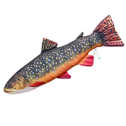 Pstrąg źródlany mini