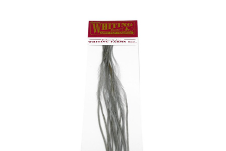 Whiting 100 Saddle Hackle Pack #14 