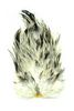 Whiting 4 B's Rooster Saddle