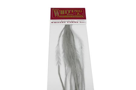 Whiting 100 Saddle Hackle Pack #14 - pióra siodłowe koguta