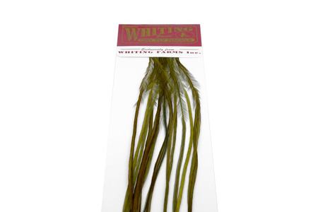 Whiting 100 Saddle Hackle Pack #14 