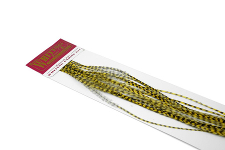 Whiting 100 Saddle Hackle Pack #14 - pióra siodłowe koguta